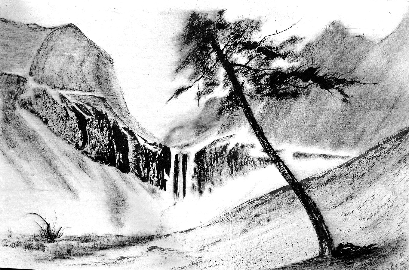 공생共生, 61x91cm,종이,수묵,2020