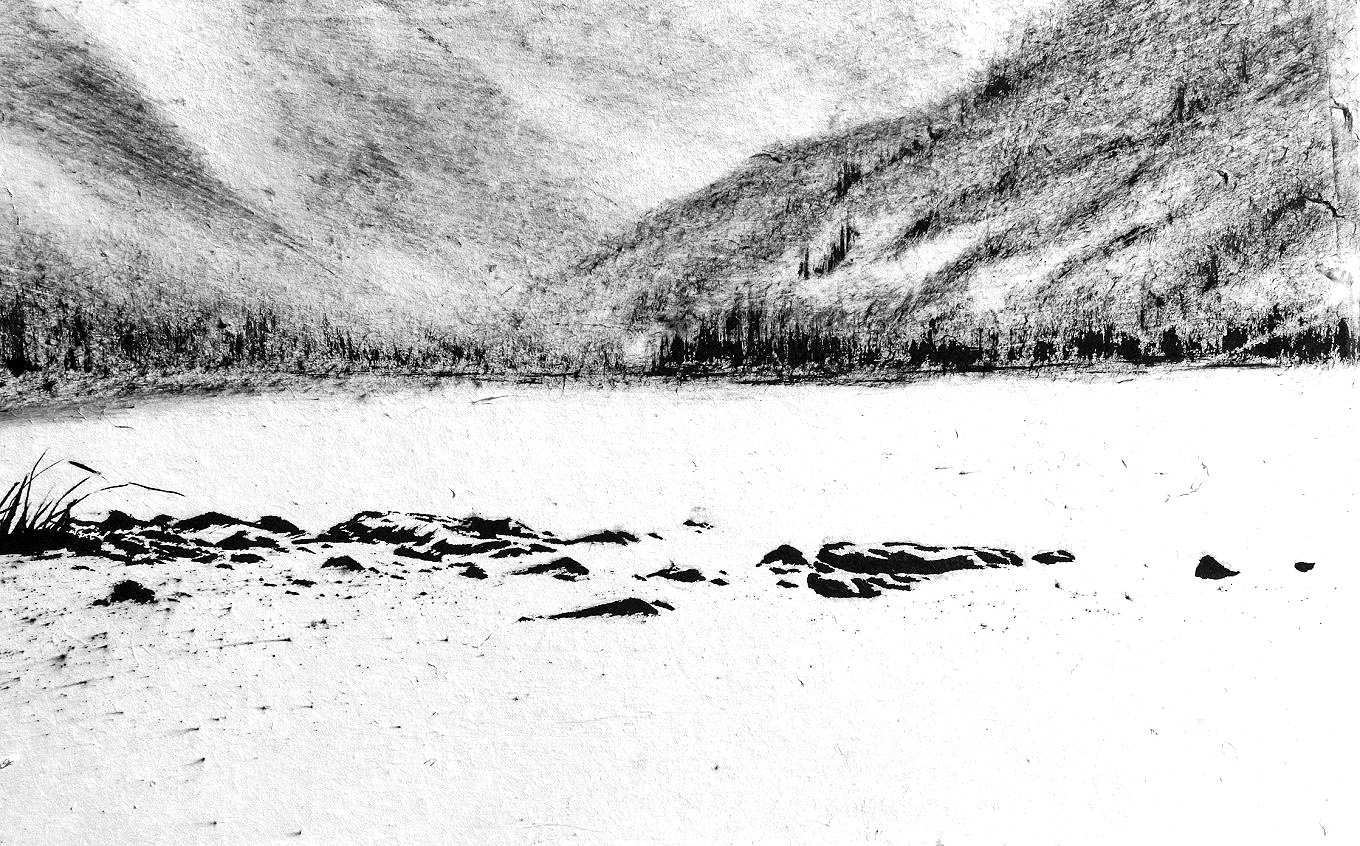 공생共生, 41x61cm,종이,수묵,2020