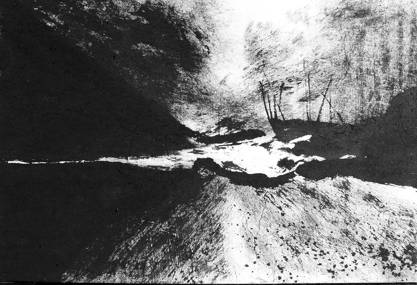 공생共生, 41x61cm,종이,수묵,2020