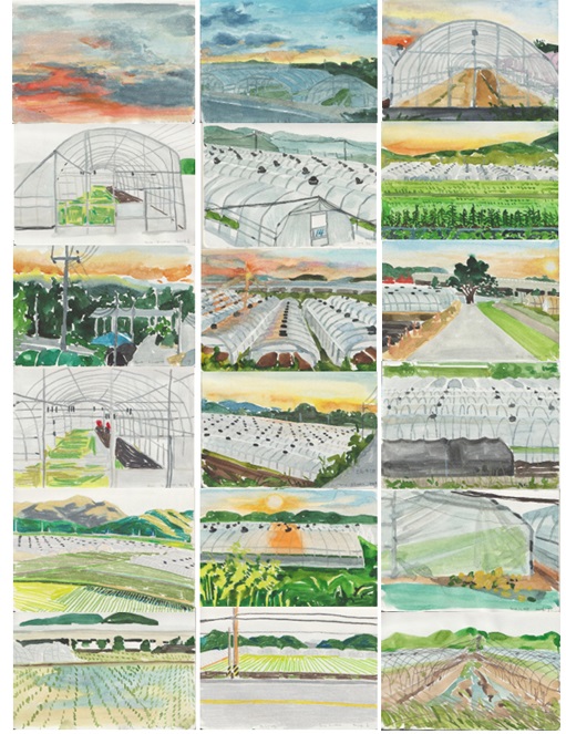 성주 드로잉, 종이에 수채, 2024