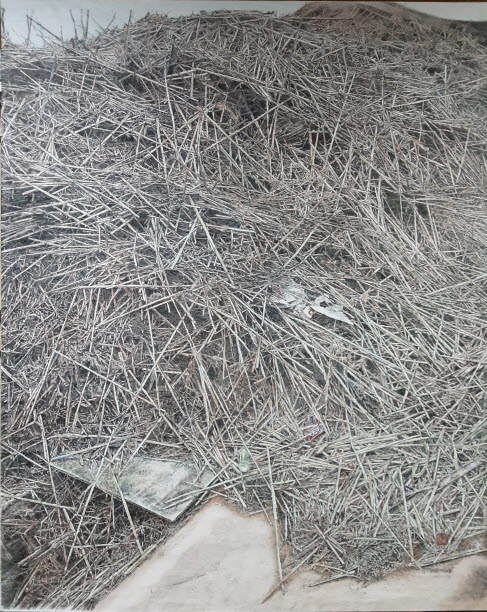 강변일우-태풍으로 비바람을 몰고와  금호강을 삼켜 흔적을 남기고 떠나버렸다.꺽여지고 부셔진 갈대들과 떠밀려온 부유물들은 모든 것을 빼앗겨 버리고 쓰레기로 보이는 형태로 금호강 기슭에 모였다.