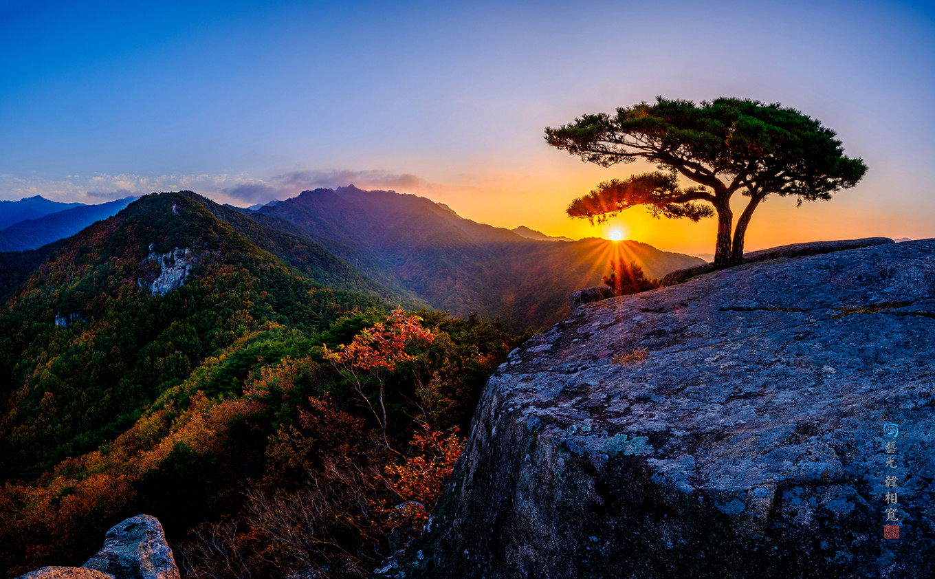 절리된 바위틈에 뿌리내리고 수 백 년을 고색창연하게 서있는 소나무의 자태가 영남의 진산 팔공의 기상을 엿볼 수 있다.