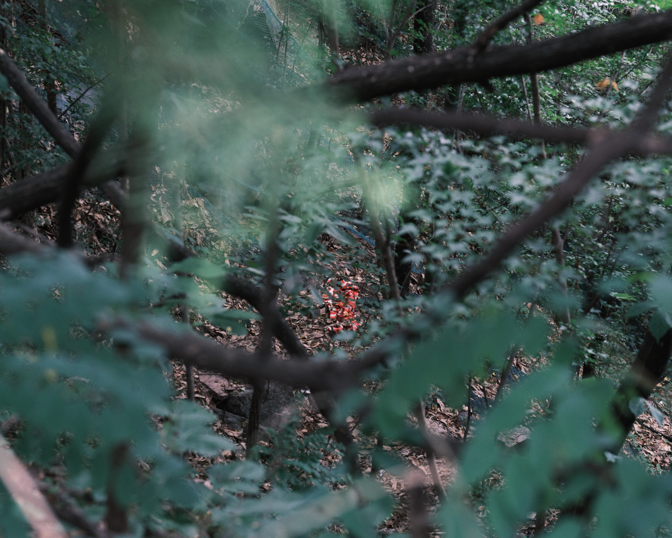 2026,[SPROUT], Untitled