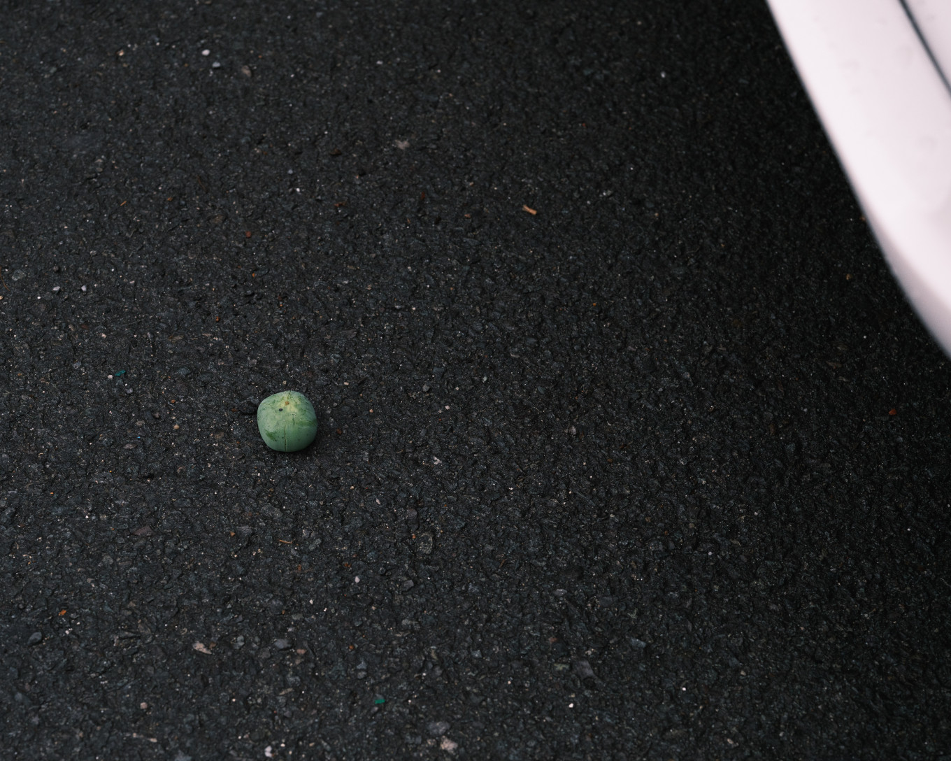 2026,[SPROUT], Untitled