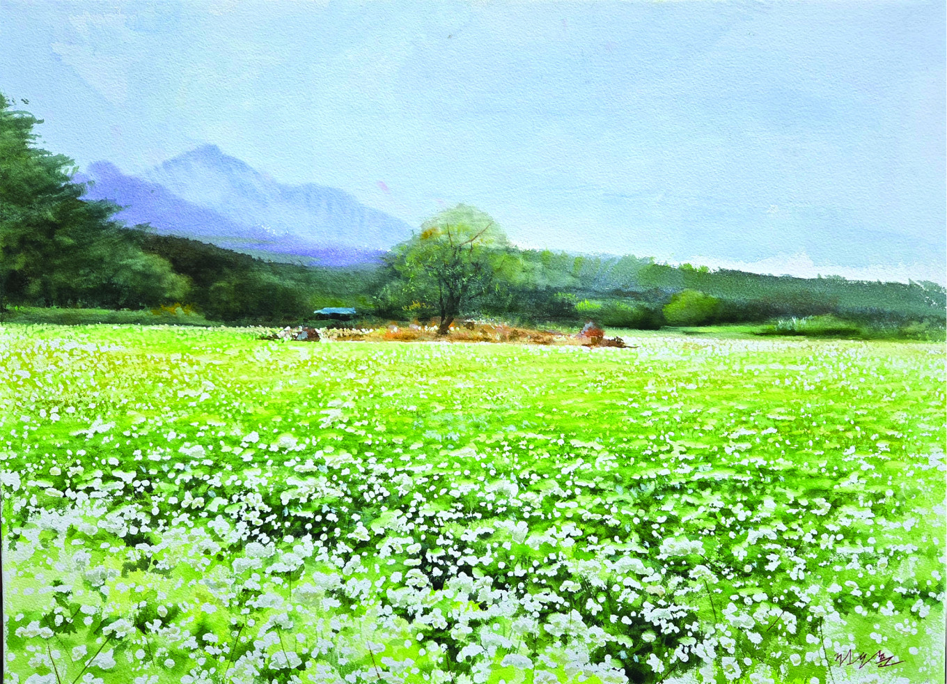 메밀밭
