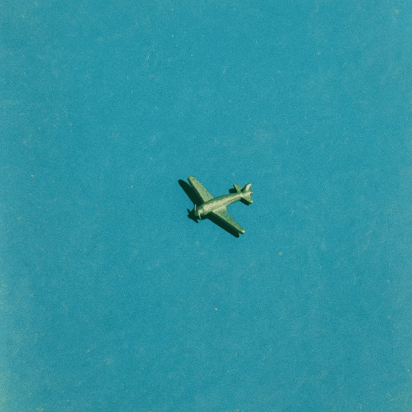 싱글앨범 [싱글컵]